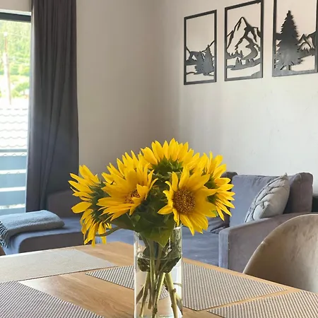 Prostir 65 * Славское